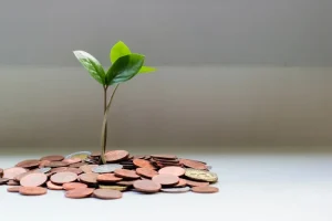 The Return of Dividend Stocks — Why Income Investing Shines Again in 2026 — Portrait